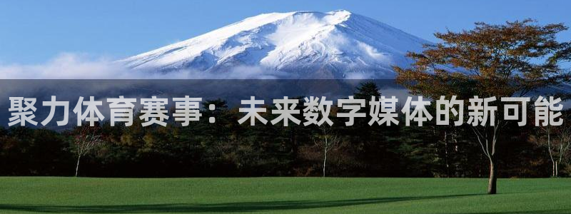 足彩开奖查询