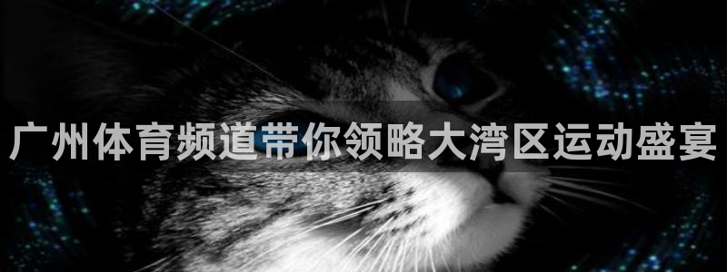 500彩票网,