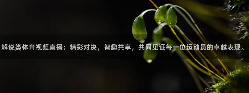 竞彩赛事资料
