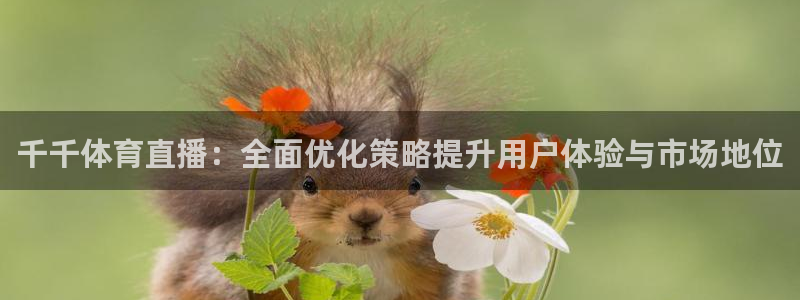 500万彩票网