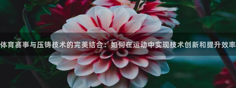 彩票开奖查询,